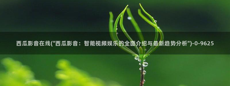 西瓜影院在线观看免费高清电视剧