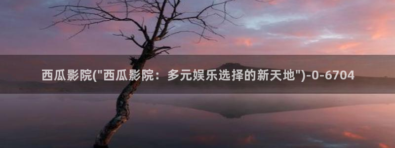 西瓜影院播放器