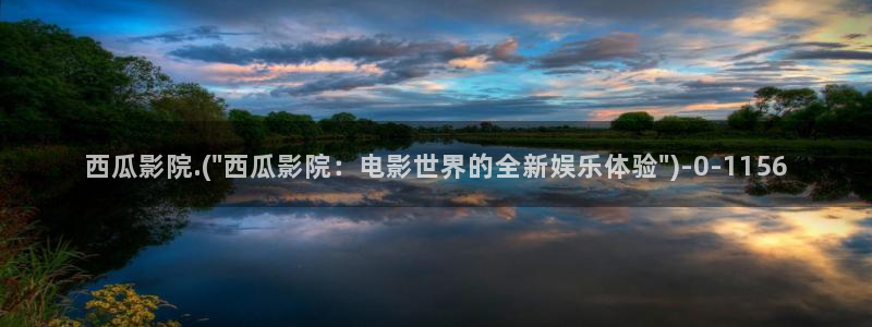 初体验西瓜影院